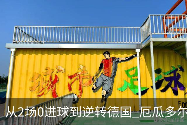 从2场0进球到逆转德国 厄瓜多尔晋级玩的就是心跳！